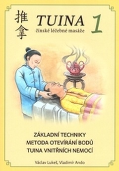 obálka: TUINA 1 - Základní techniky