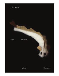 obálka:  Letný hrob 