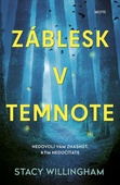 obálka: Záblesk v temnote