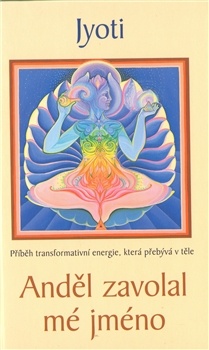 obálka: Anděl zavolal mé jméno