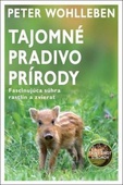 obálka: Tajomné pradivo prírody