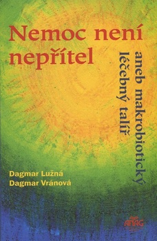 obálka: Nemoc není nepřítel