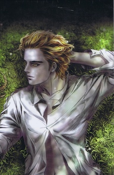 obálka: Súmrak - Grafický román 1.+ 2. diel