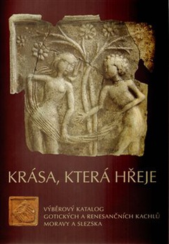 obálka: Krása, která hřeje