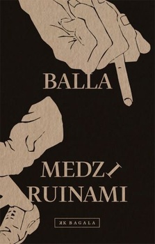 obálka: Medzi ruinami