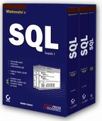 obálka: MISTROVSTVÍ V SQL
