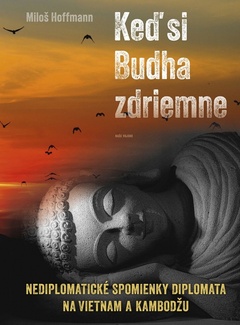 obálka: Keď si Budha zdriemne