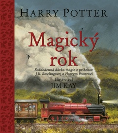 obálka: Harry Potter: Magický rok