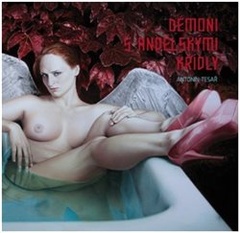 obálka: Démoni s andělskými křídly