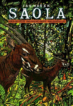 obálka: SAOLA