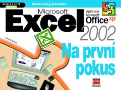 obálka: Microsoft Excel 2002 Na první pokus