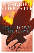 obálka: Call Down the Hawk: The Dreamer Trilogy 1