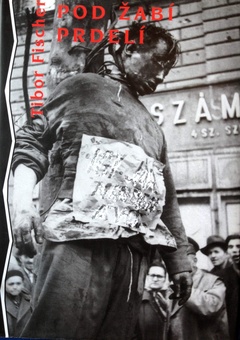 obálka: Pod žabí prdelí