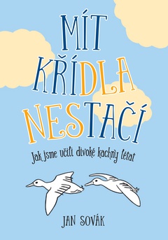 obálka: Mít křídla nestačí