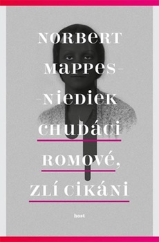 obálka: Chudáci Romové, zlí Cikáni