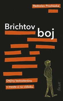 obálka: Brichtov boj