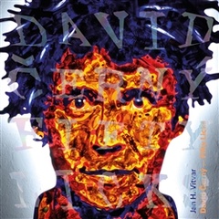 obálka: David Černý – Fifty Licks