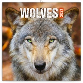 obálka: kal Vlci 2021