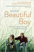 obálka: Beautiful Boy : A Father´s Journey Throu