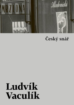 obálka: Český snář s komentářovým výkladem