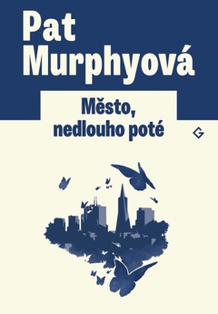 obálka: Město, nedlouho poté