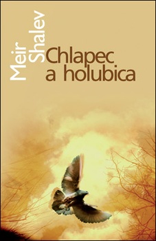 obálka: Chlapec a holubica