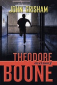 obálka: Theodore Boone: Obvinený