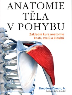 obálka: ANATOMIE TĚLA V POHYBU