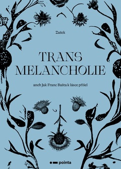 obálka: Transmelancholie