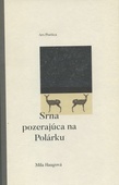 obálka: Srna pozerajúca na Polárku