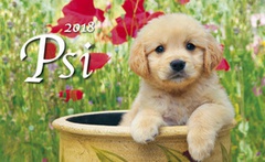 obálka: Psi 2018 - stolní kalendář