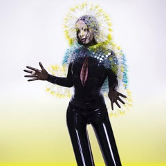 obálka: Bjork: Vulnicura