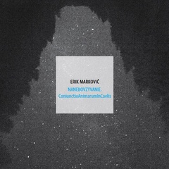 obálka: Nanebovzývanie. ConiunctioAnimarumInCaelis