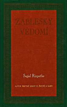 obálka: Záblesky vědomí