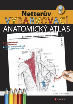 obálka: Netterův vybarvovací anatomický atlas