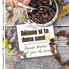obálka: Děláme si to doma sami 2