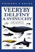 obálka: Veľryby, delfíny a sviňuchy - Príroda v kocke