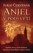 obálka: Anjel v podsvetí (Barbarič a Stein 7)