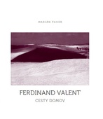 obálka: Cesty domov