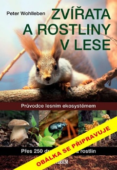 obálka: Zvířata a rostliny v lese