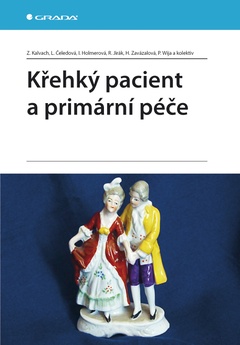 obálka: Křehký pacient a primární péče