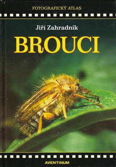 obálka: Brouci 