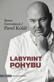 obálka: Labyrint pohybu