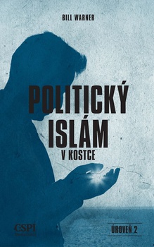 obálka: Politický islám v kostce - úroveň 2