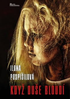 obálka: Když duše bloudí