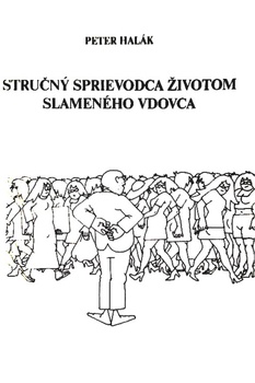 obálka: Stručný sprievodca životom slameného vdovca
